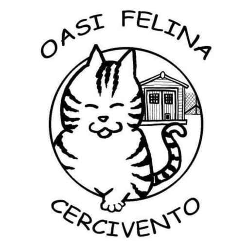 Blog di oasifelinacercivento